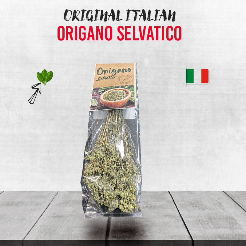 Origano Selvatico